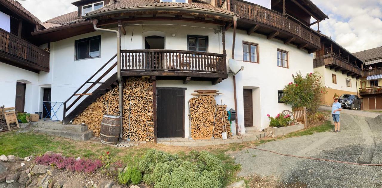 Gailtal Appartements Naehe Skigebiet Wertschach エクステリア 写真