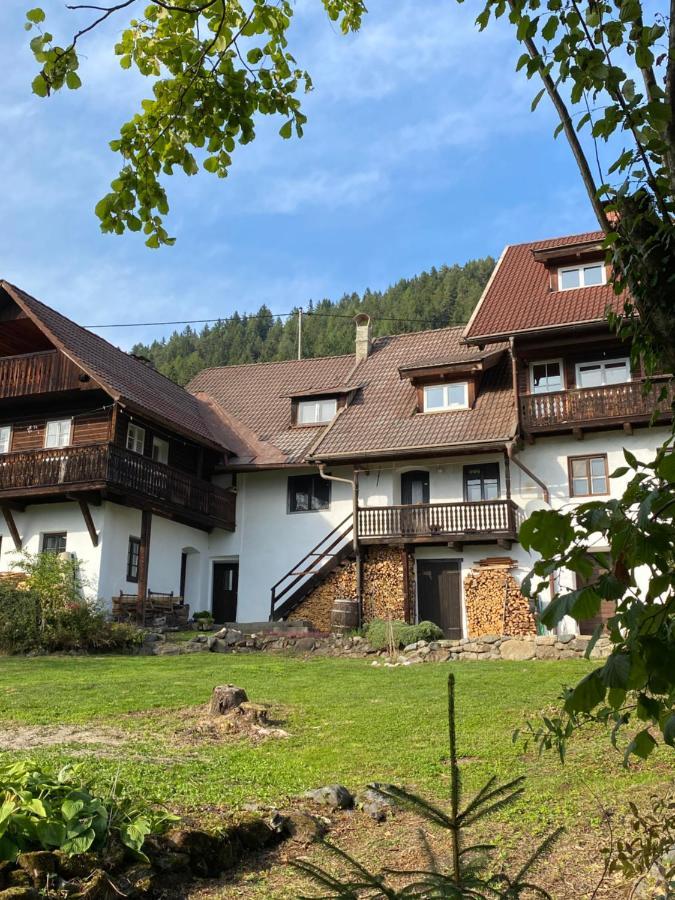 Gailtal Appartements Naehe Skigebiet Wertschach エクステリア 写真